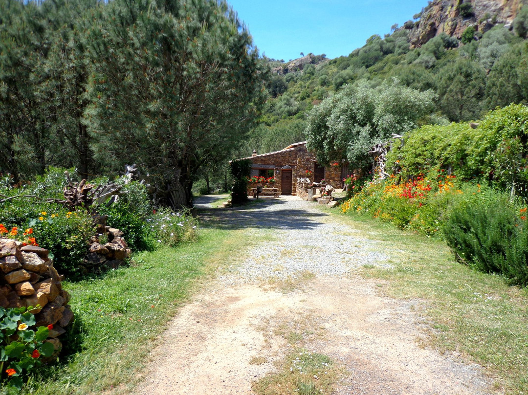 Su Lilloni