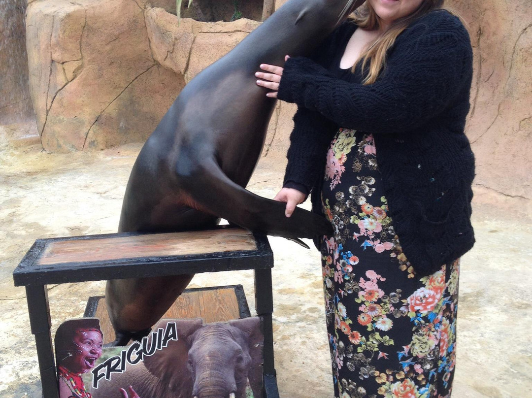 Friguia Park-哈玛麦德必去景点