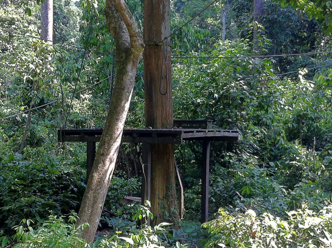 西必洛猿人保护区-西必洛必去景点