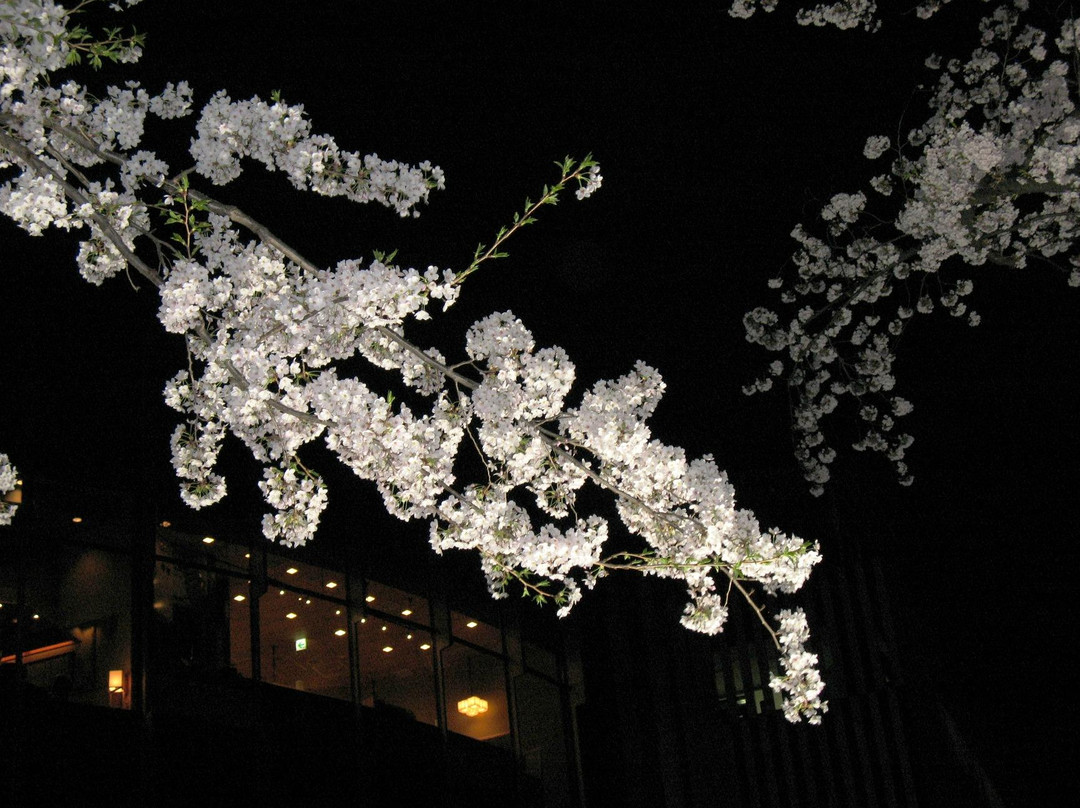 东京中城-Akasaka必去景点