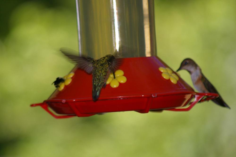 Elk Meadows Farm-浴室