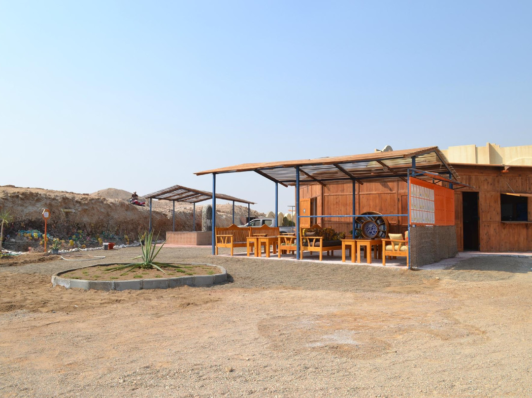 Wonderful Dive-马萨阿拉姆必去景点