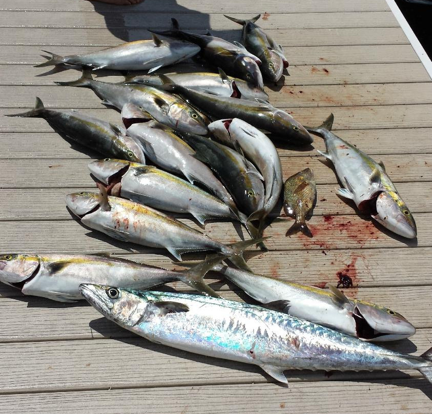 Expert Fishing Charters-朱庇特必去景点