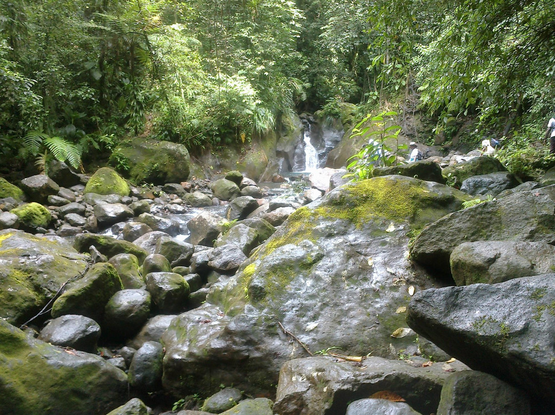 Cascades du Bassin Bleu-Gourbeyre必去景点