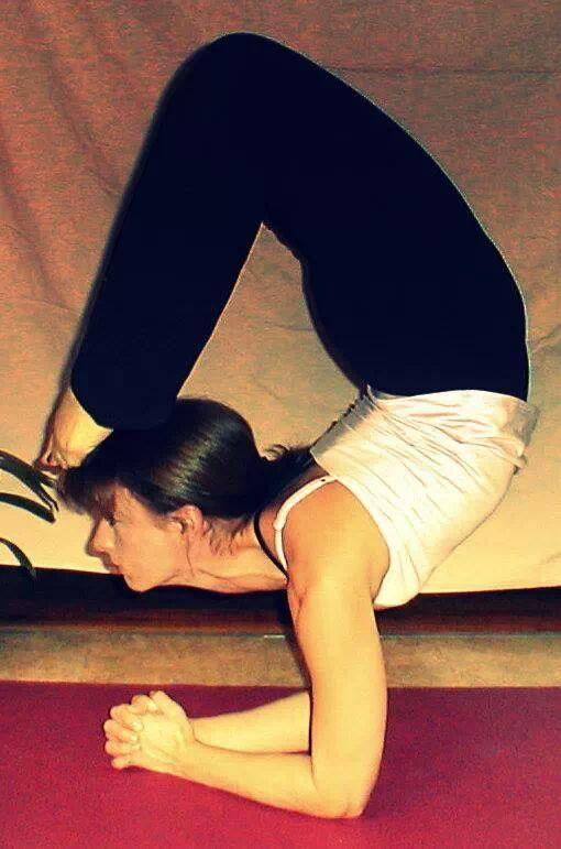 The Prana Lab Yoga & Wellness-韦斯顿必去景点