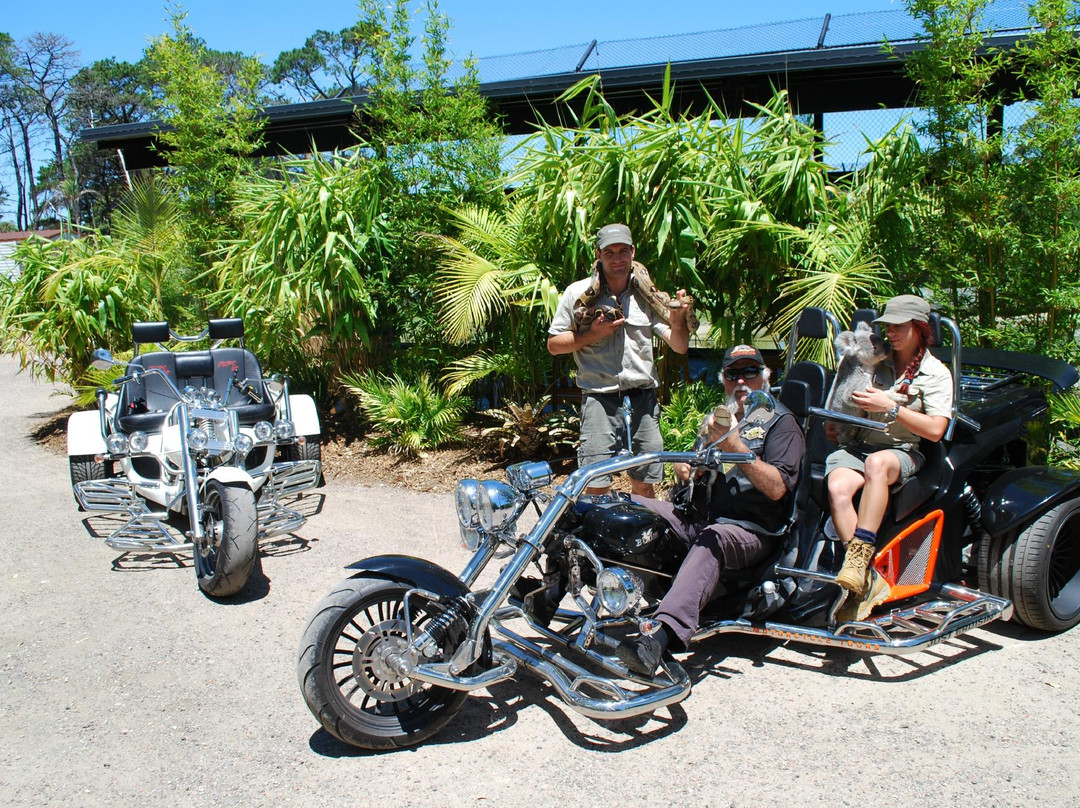 Just Cruisin Harley Day Tours-海伦斯堡必去景点