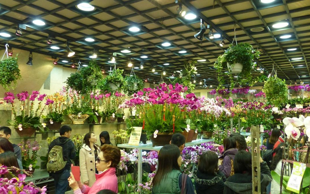 花墟道-香港必去景点