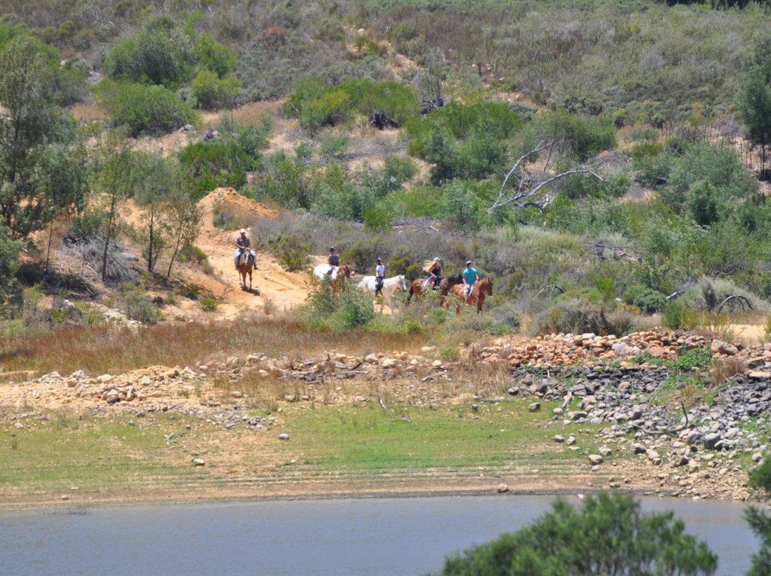 Tulbagh Horse Trails景点图片