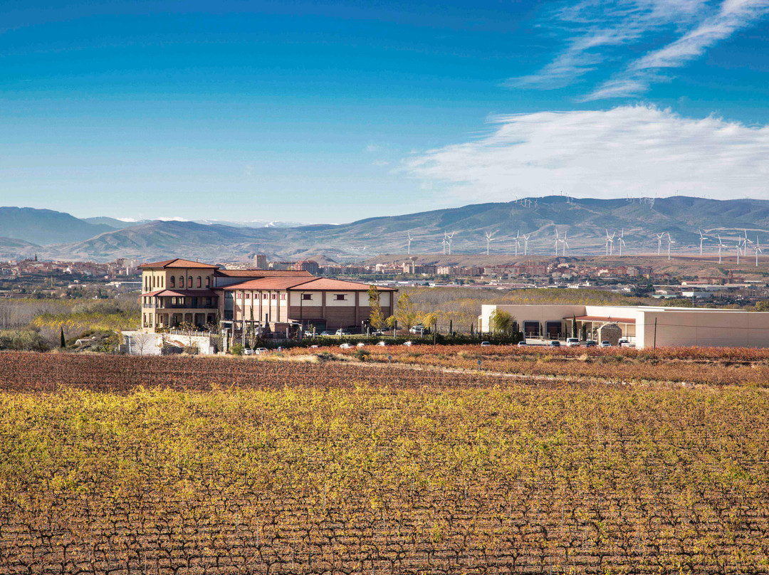 Bodegas Manzanos Azagra-Azagra必去景点