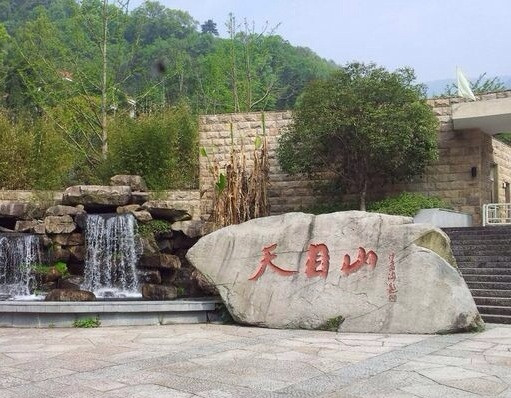 西天目山景点图片