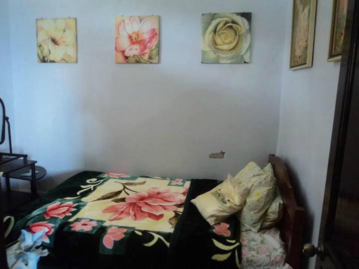 Ang Tribu Bagobo Woodlands-客卧