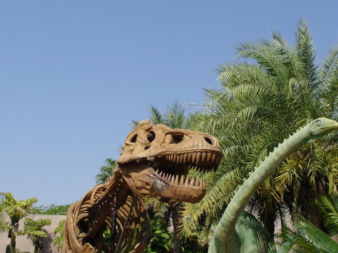 Sirindhorn Museum and Phu Kum Khao Dinosaur Excavation Site景点图片