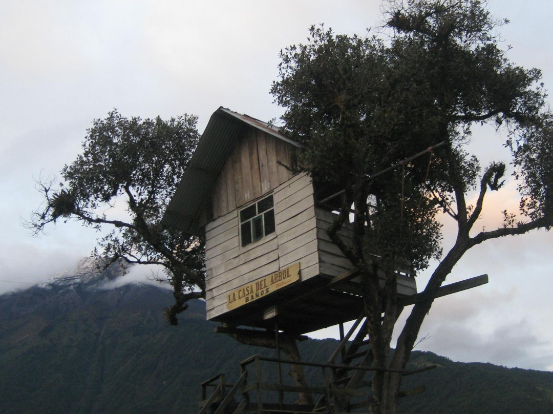 La Casa del Arbol景点图片