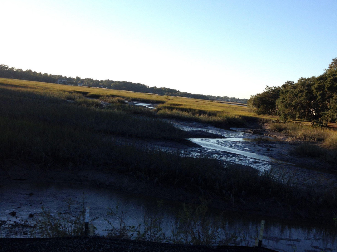 Spanish Moss Trail-博福特必去景点