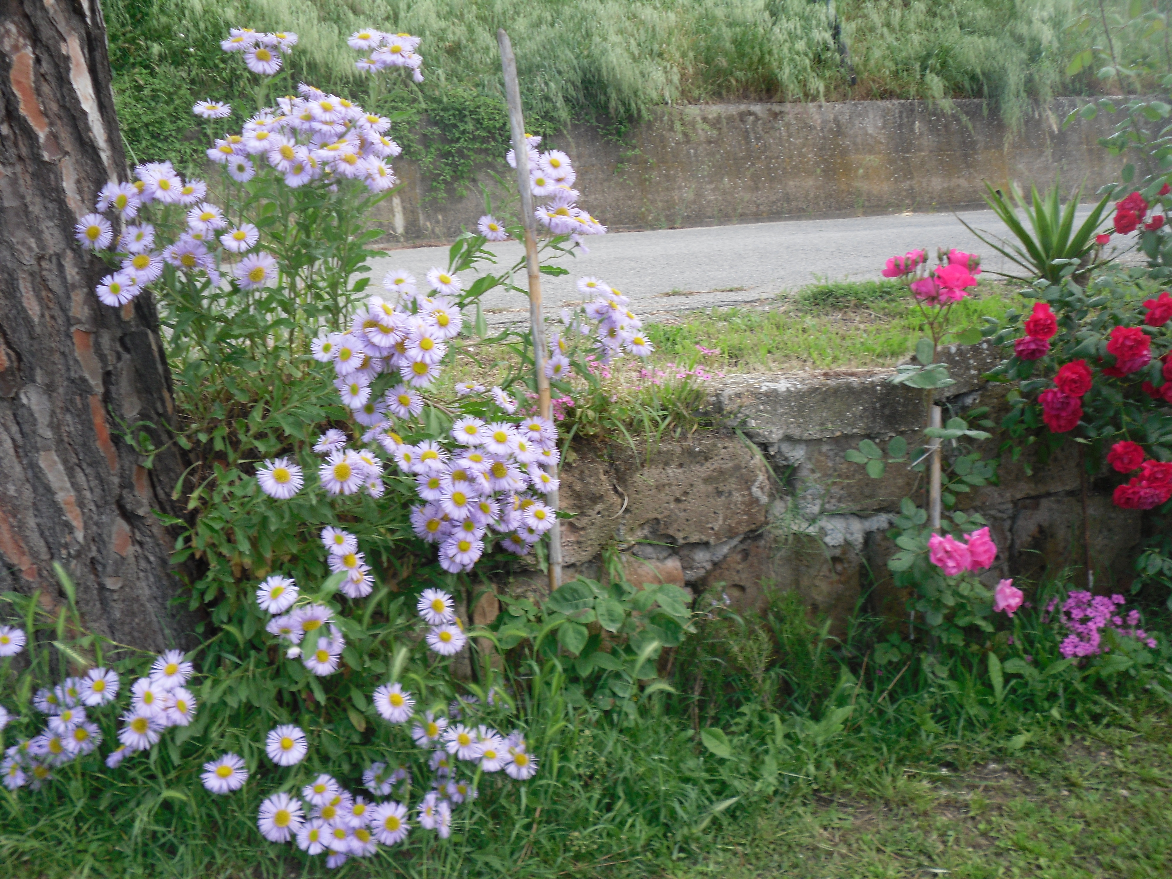 Bed & Breakfast Il Lecino-官方