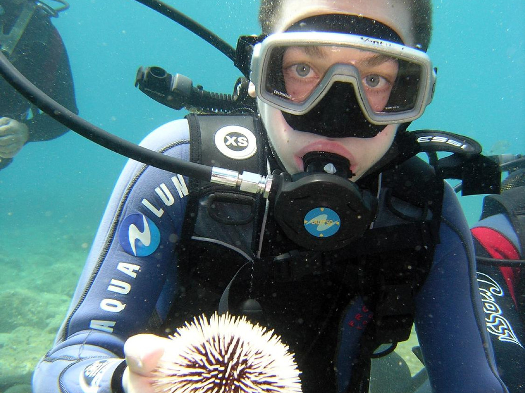 Stay Wet Diving Center-阿希亚贝拉希亚必去景点