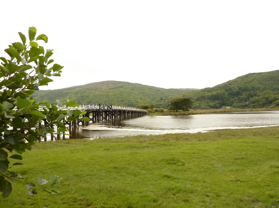 Mawddach Valley - Arthog Bog景点图片