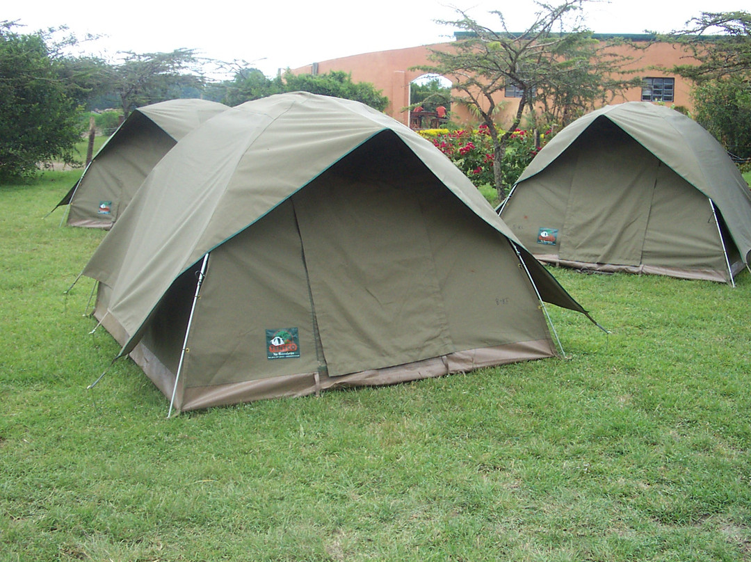 County Simba Safaris Day Tours景点图片