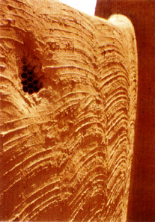 Sultan's Palace-Zinder必去景点