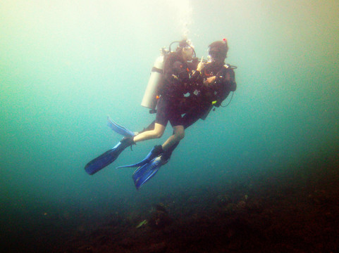 Crystal Divers-沙努尔必去景点