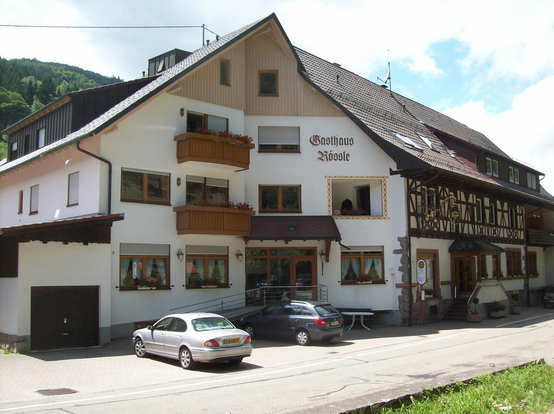 Elzach-Oberprechtal餐馆和美食-Landgasthaus Rossle