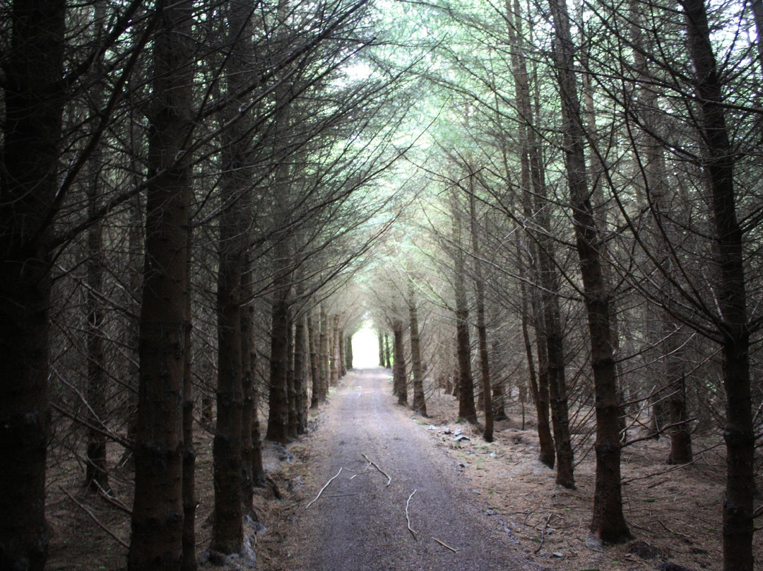 Glanleam House & Subtropical Gardens-Valentia Island必去景点