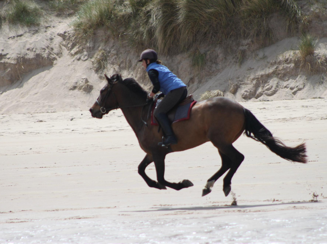 Slate Hall Riding Centre-Seahouses必去景点