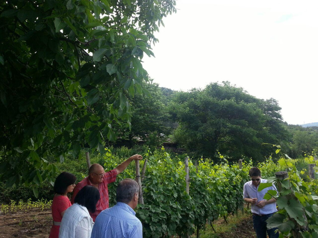 B-Winemaker景点图片