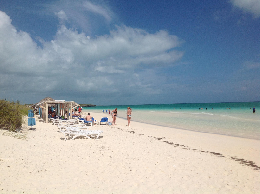 Cayo Guillermo-Cayo Guillermo必去景点