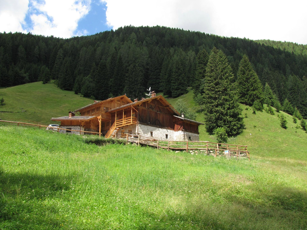 Bed and Breakfast Cascate di Saent主图