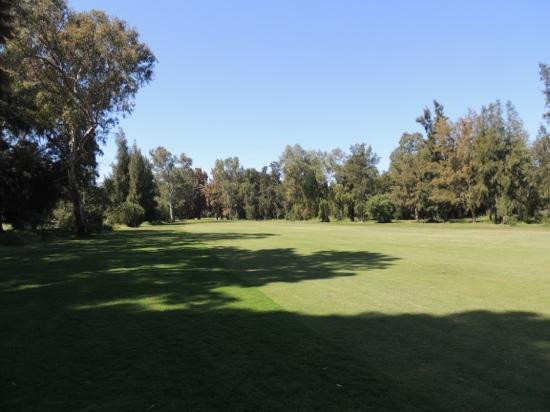Sir Henry Cotton Championship Course景点图片