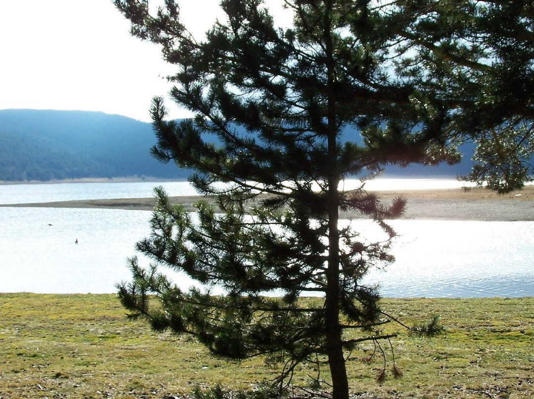 Lac de Matemale景点图片