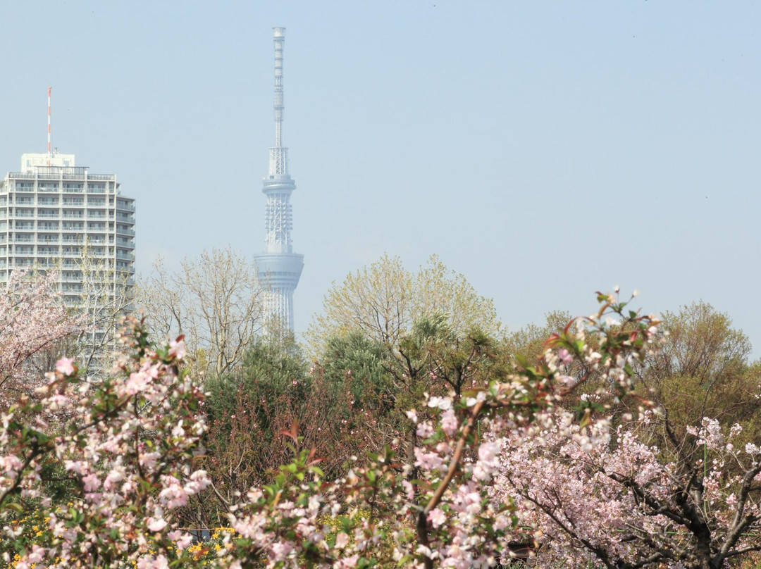 木场公园-江东区必去景点