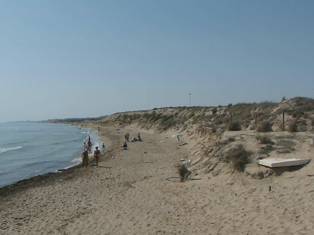 Playa de Guardamar景点图片