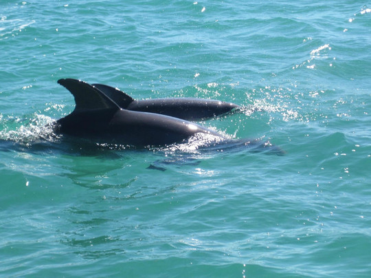 Key West Water Tours-基韦斯特必去景点