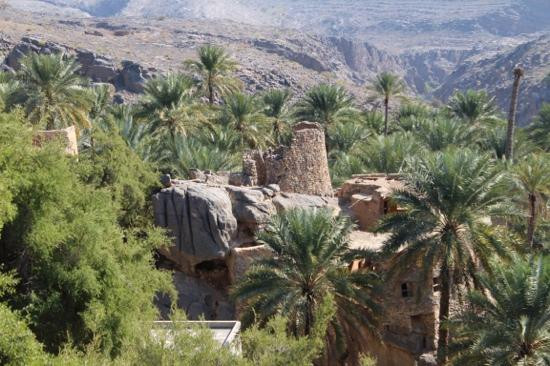Wadi Al Arbeieen-Qurayyat必去景点