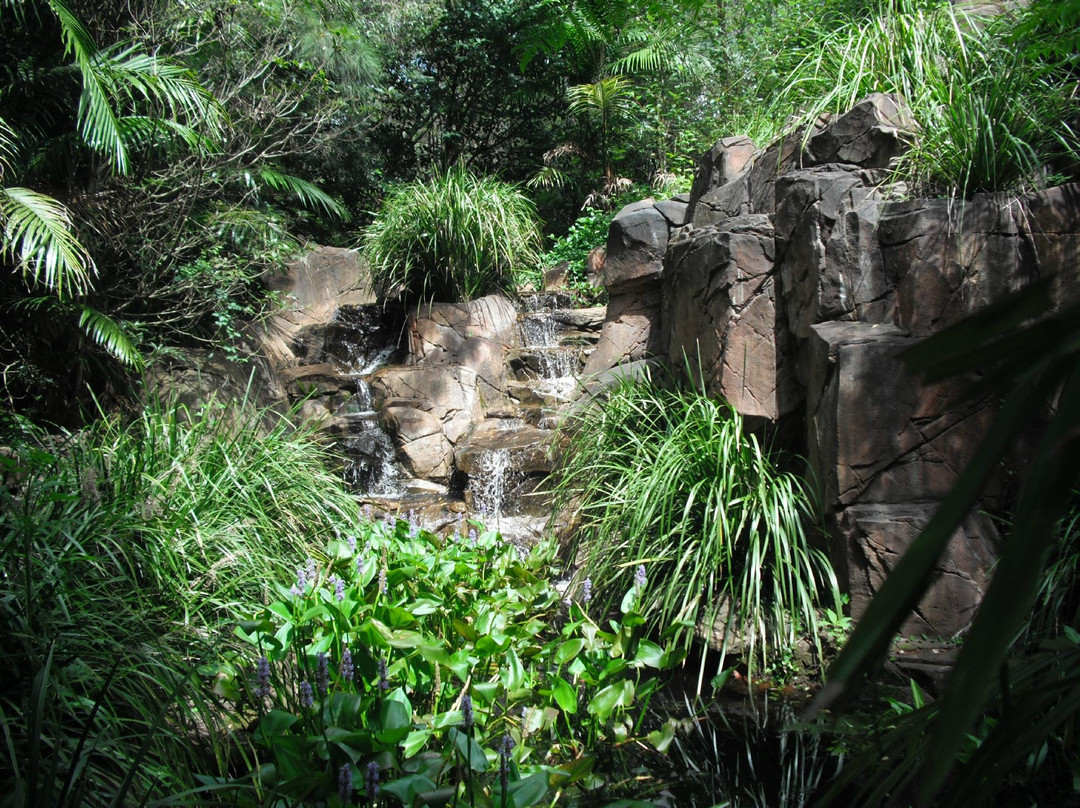 Tamborine Mountain Glow Worm Caves景点图片