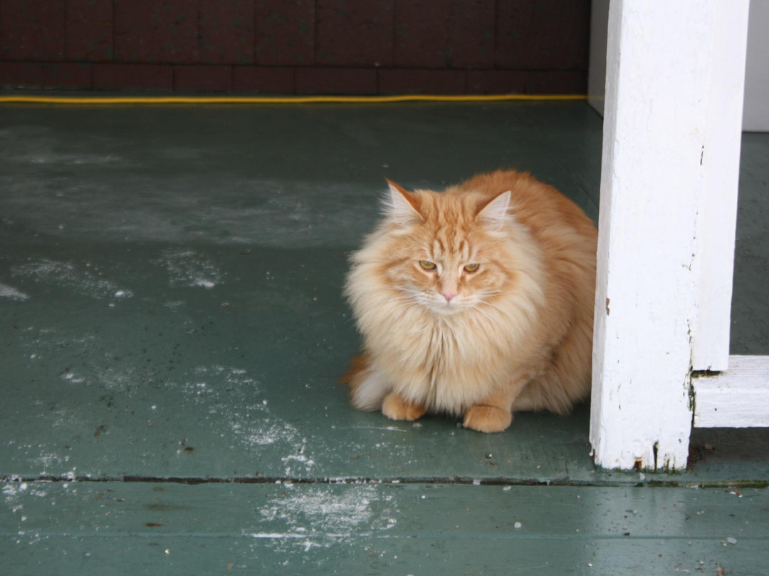 The Farmhouse Bed and Breakfast主图