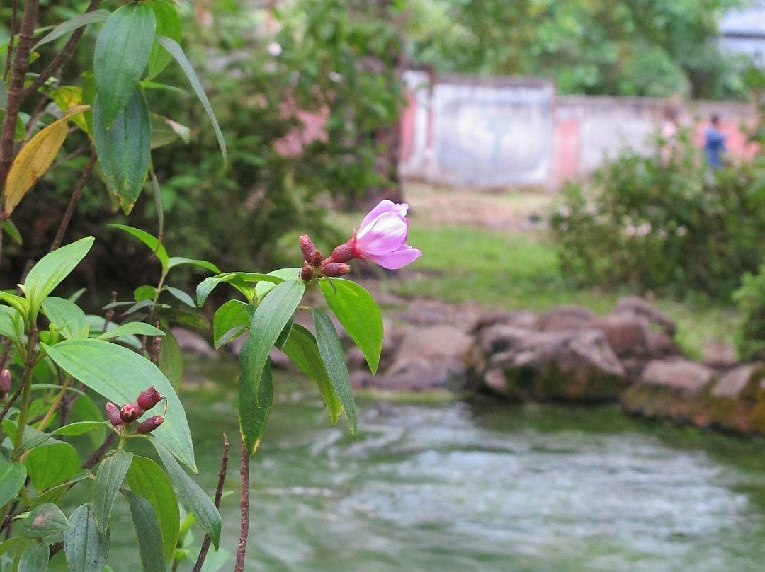 Mengeruda Hot Spring景点图片
