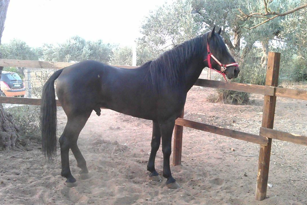 Ranch Capo Rama-Terrasini必去景点