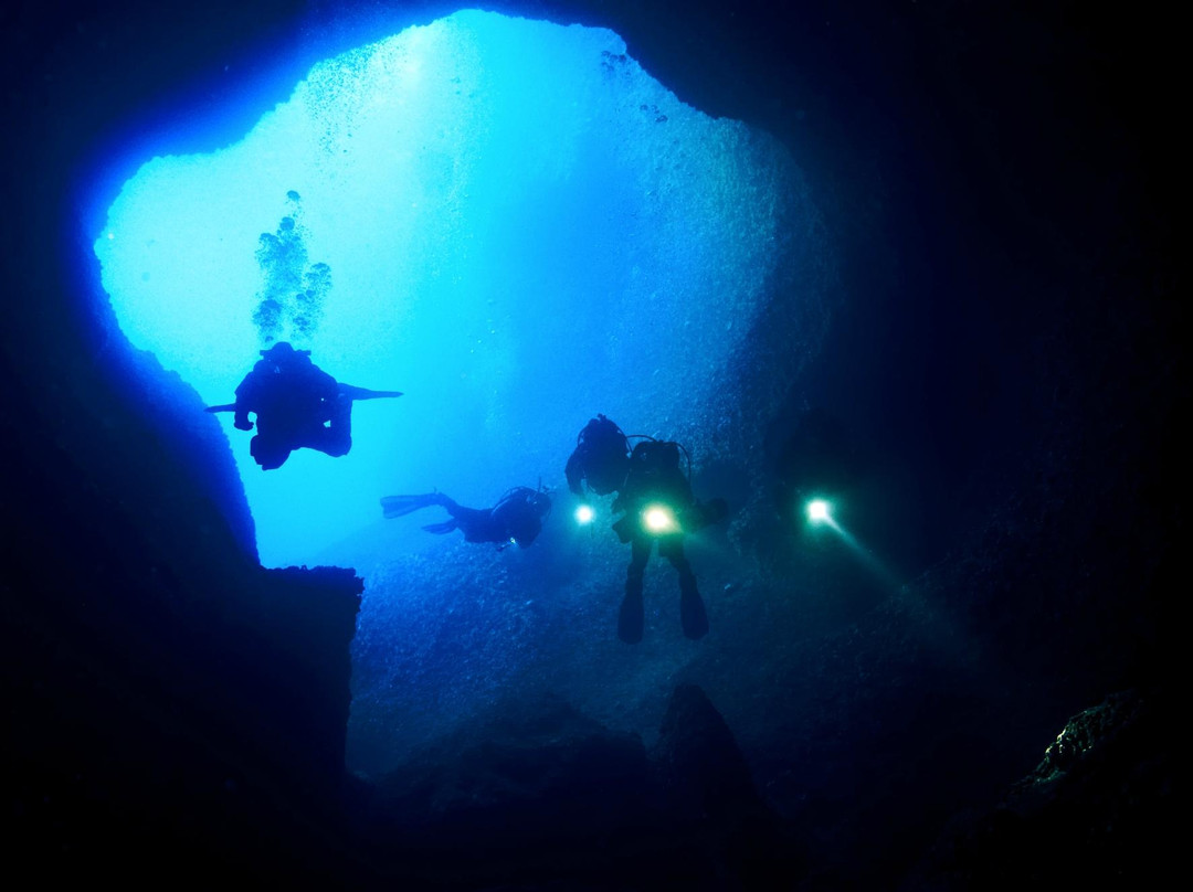 Sarda Divers - Dive Center景点图片