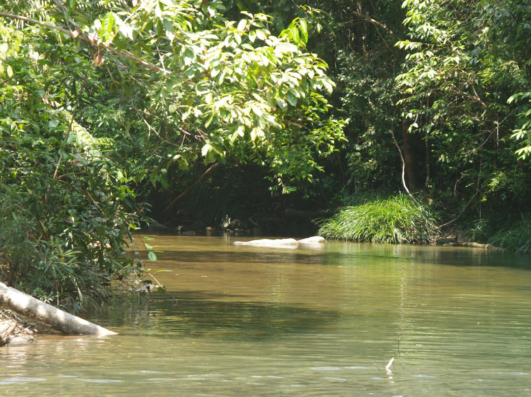 Endau Rompin National Park-柔佛必去景点