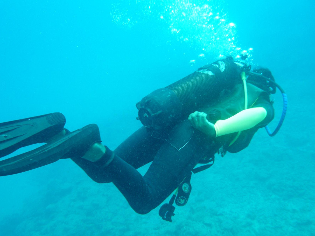 Tamarin OceanPro Divingcenter-塔玛琳必去景点