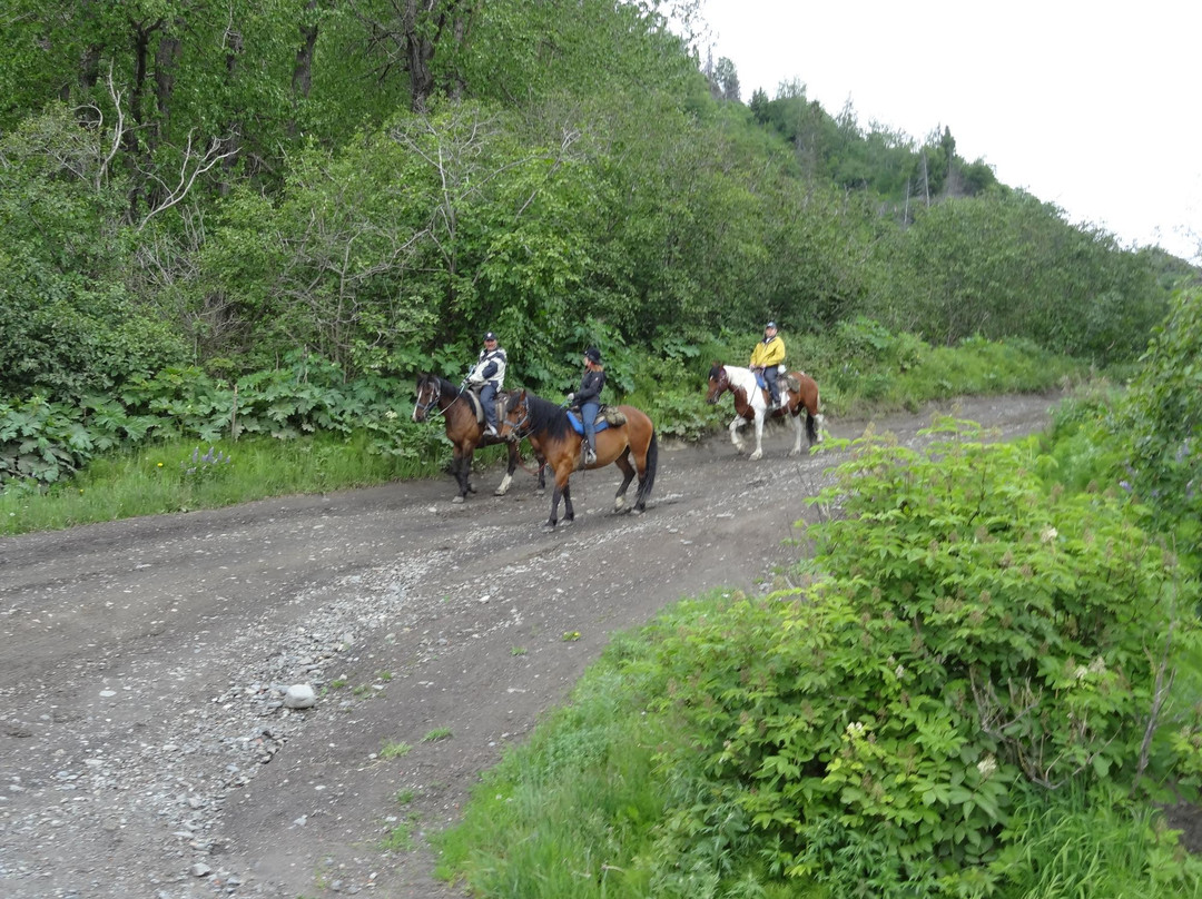 Trails End Horse Adventures-荷马必去景点