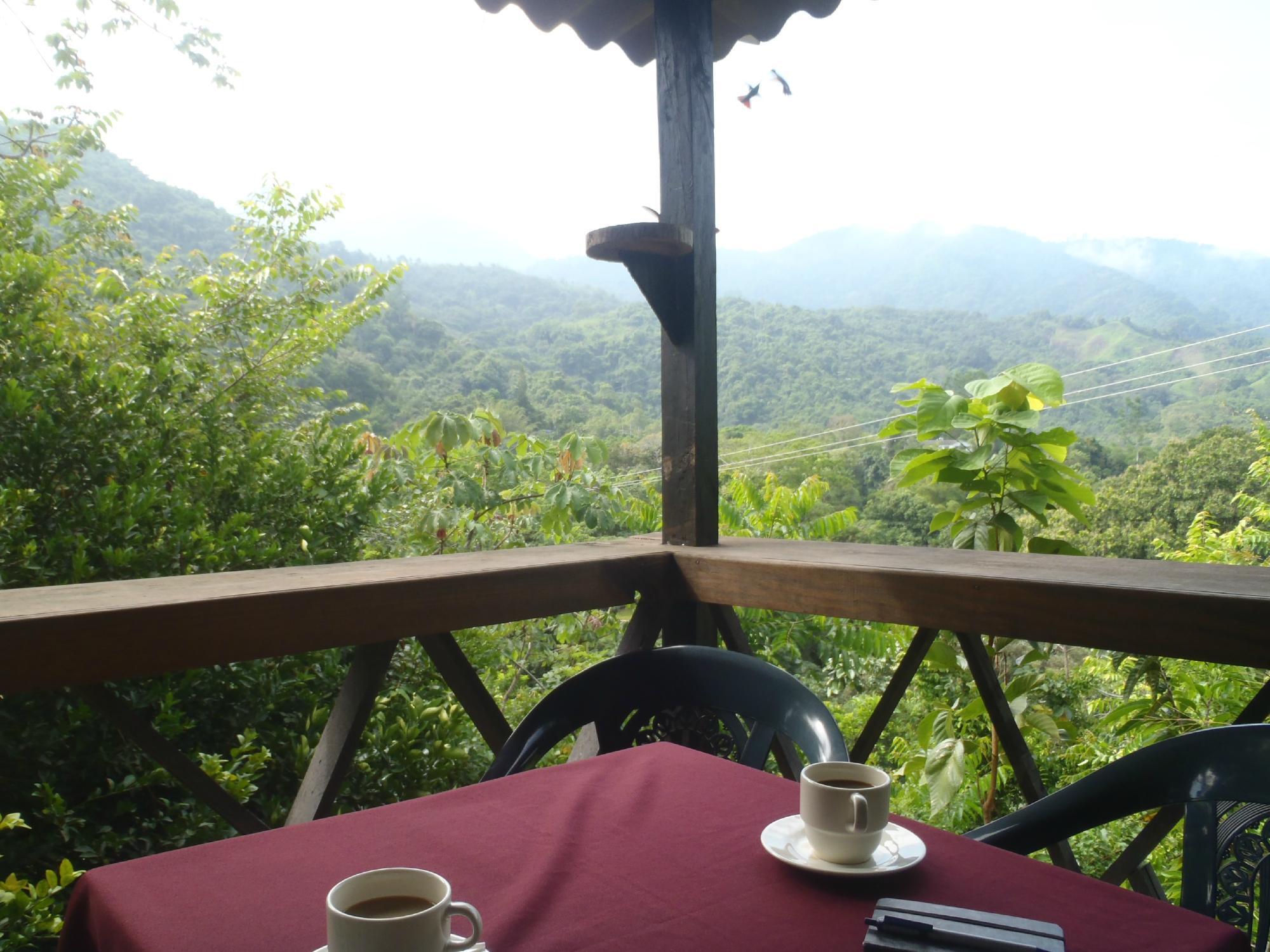 Hotel Minca-餐饮