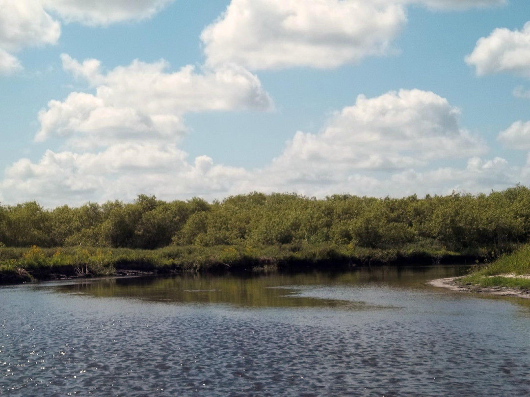 Loughman Lake Airboat Rides景点图片
