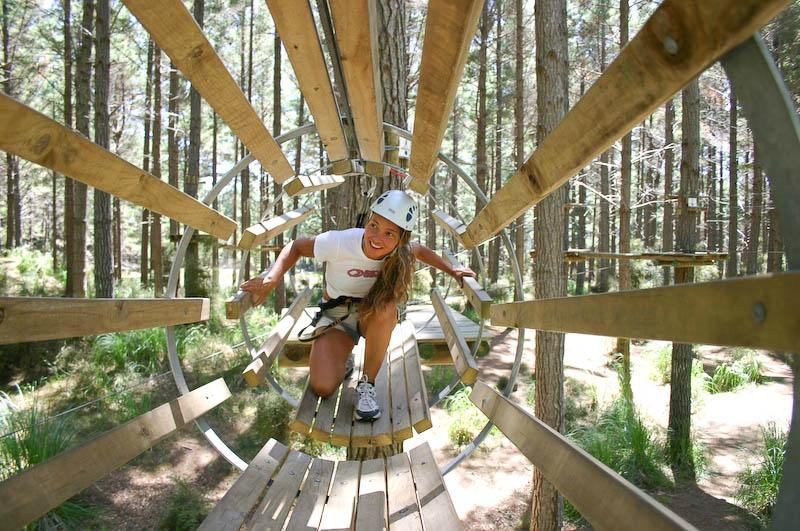 Tree Adventures-伍德山必去景点