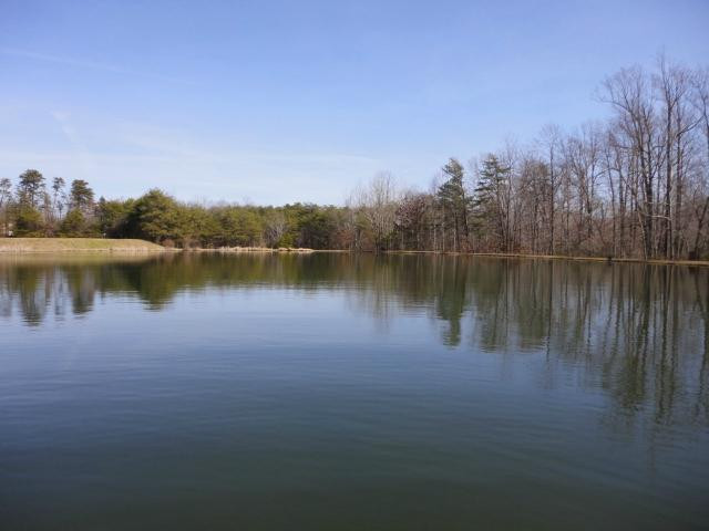 Gilly's Park-Rocky Mount必去景点