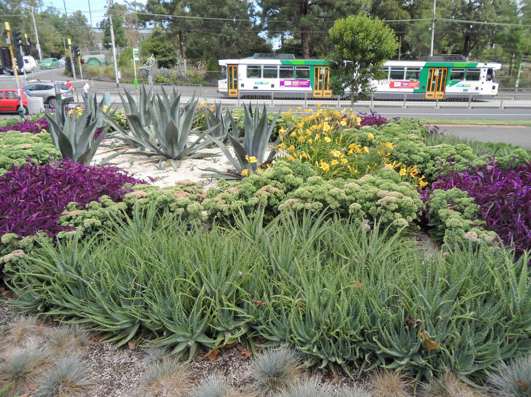 菲茨罗花园-墨尔本必去景点