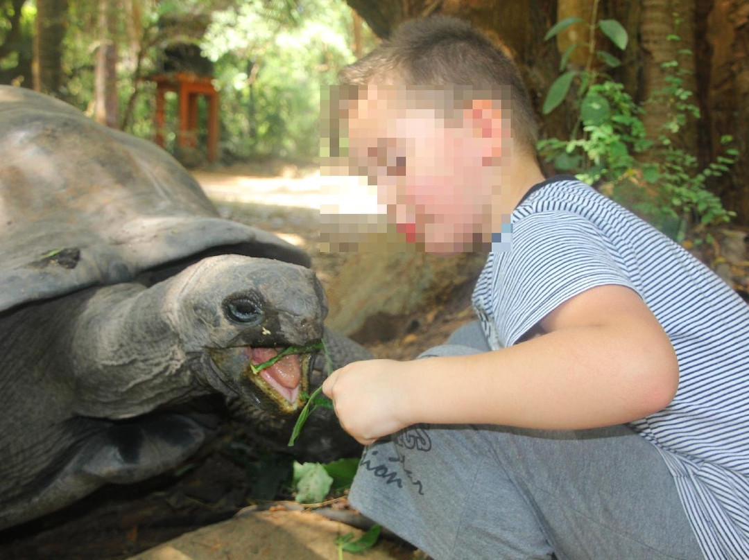 Haller Park-蒙巴萨必去景点